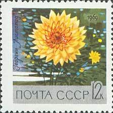 Dahlia "Listopad"