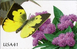 Pollination