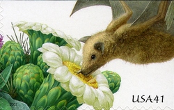 Pollination