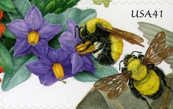 Pollination