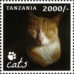 Cats - Our Furry Companions