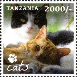 Cats - Our Furry Companions