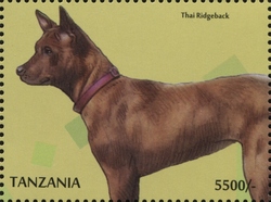 Dogs - Thai Ridgeback