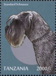 Dogs - Standard Schnauze