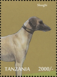 Dogs - Sloughi