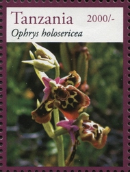 Stamp, Orchids - Ophrys holosericea, Tanzania,  