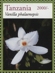 Stamp, Orchids - Vanilla phalaenopsis, Tanzania,  