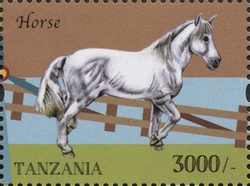 Farm Animals - Horse