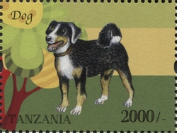 Farm Animals - Dog