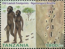 Tanzania Heritage Sites - Old Laetoli Footprints - Ngorongoro Arusha