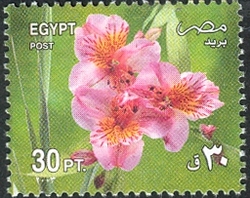 Celebrated Festivals 2003