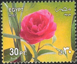 Celebrated Festivals 2003