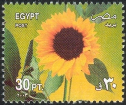 Celebrated Festivals 2003