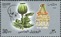 Diamond Jubilee of the General direction for the Fight against Narcotics