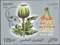 Diamond Jubilee of the General direction for the Fight against Narcotics
