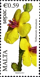 Stamp, Maltese Flora - Wavyleaf Mullein, Malta,  