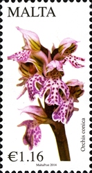 Stamp, Maltese Flora - Conical Orchid, Malta,  