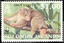 WWF - Grey Cuscus