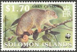 WWF - Grey Cuscus