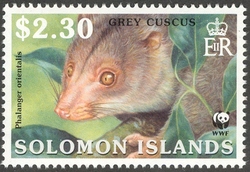 WWF - Grey Cuscus