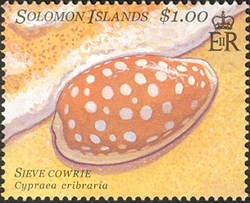 Sea Shells Philakorea 2002 - Sieve Cowrie