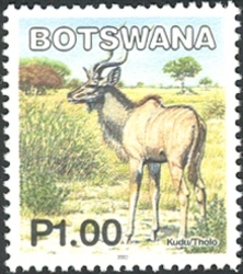 Mammals of Botswana - Kudu