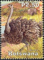 Stamp, Wetlands Part 4 - Ostrich, Botswana,  