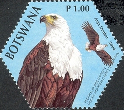 SAPOA - African Fish Eagle