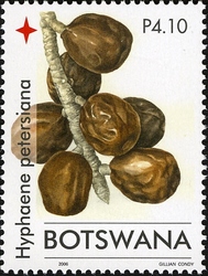 Stamp, Christmas 2006 - Palm Trees - Hyphaene petersiana, Botswana,  