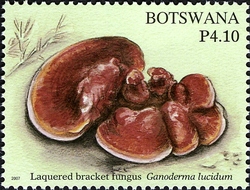 Stamp, Fungi of Botswana - Laquered bracket fungus, Botswana,  