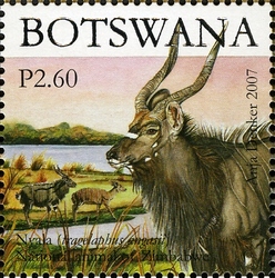 SAPOA Joint issue - National Animal of Zimbabwe- Nyala