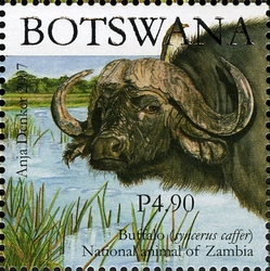 SAPOA Joint issue - National Animal of Zambia - Buffalo