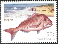 Fishing in Australia - Snapper
