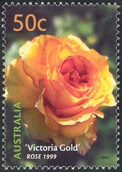 Australian Cultivars - 'Victoria Gold' Rose 1999