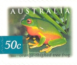 Nature of Australia Rainforest - Orange-thighed Tree Frog