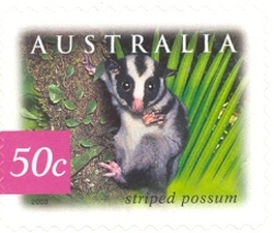 Stamp, Nature of Australia Rainforest - Striped Possum, Australia,  