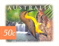 Nature of Australia Rainforest - Yellow-bellied Sunbird