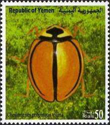 Stamp, Endemic Insect Species of Yemen - Cheilomenes propinqua vicina, Yemen, Kingdom,  