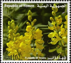Stamp, Flowers of Yemen, Yemen, Kingdom,  