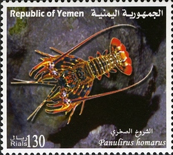 Stamp, Marine Life of Yemen - Panulirus homarus, Yemen, Kingdom,  