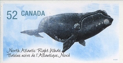 Endangered Species - North Atlantic Right Whale