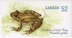 Endangered Species - Northern Cricket Frog