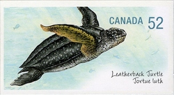 Endangered Species - Leatherback Turtle