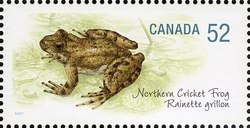 Endangered Species - Northern Cricket Frog