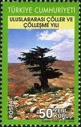 International Year of Deserts and Desertification