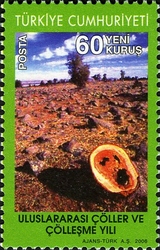 International Year of Deserts and Desertification
