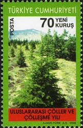 Stamp, International Year of Deserts and Desertification, Turkey,  