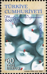 800th Anniversary of Mevlânâ’s Birth