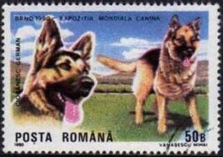 Stamp, German Shepherd (Canis lupus familiaris), Romania,  , Mammals, Dogs, Animals (Fauna)