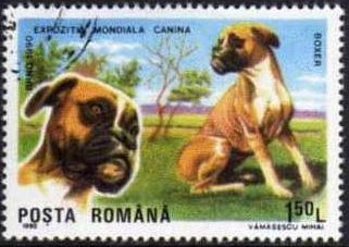 Stamp, German Boxer (Canis lupus familiaris), Romania,  , Dogs, Animals (Fauna)